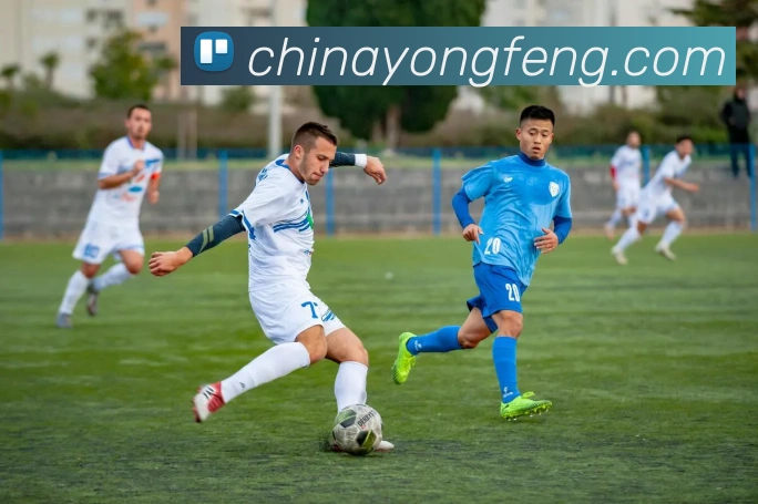 半岛手机网页版官网平台生态图