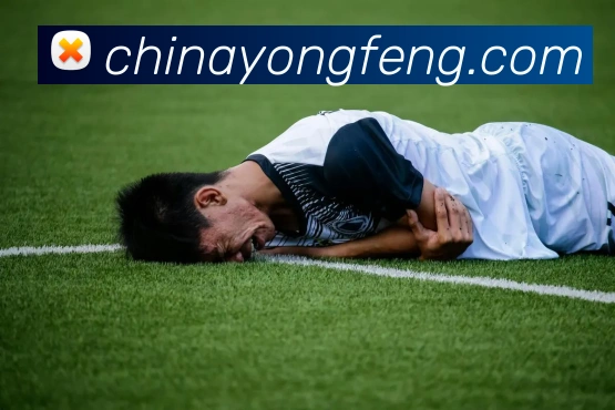 半岛手机网页版官网全站App 半岛手机网页版官网全站App